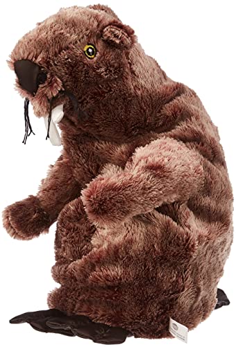 B003TOIZBA